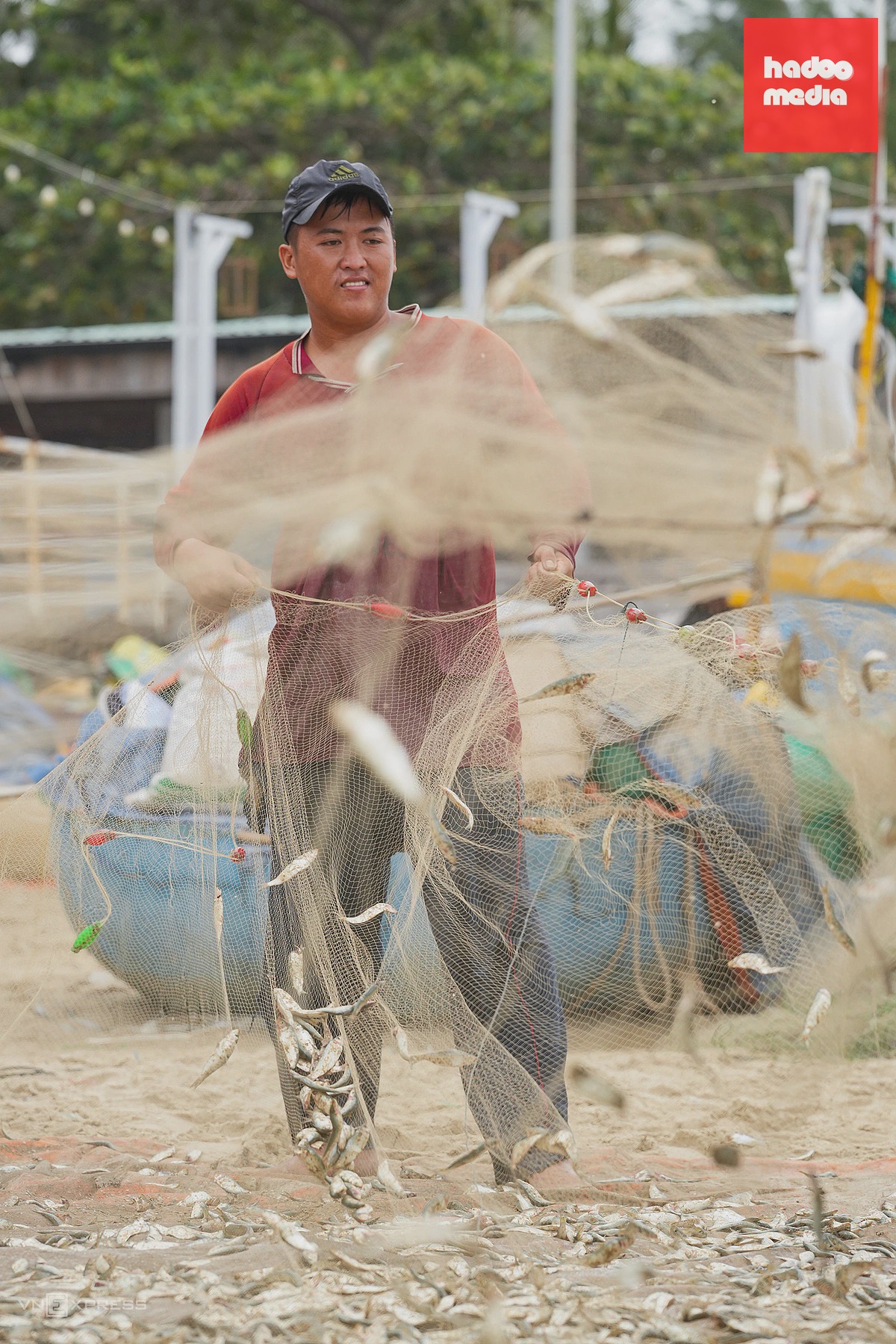 Thuyền thúng đầy ắp cá trích về bờ biển Long Hải