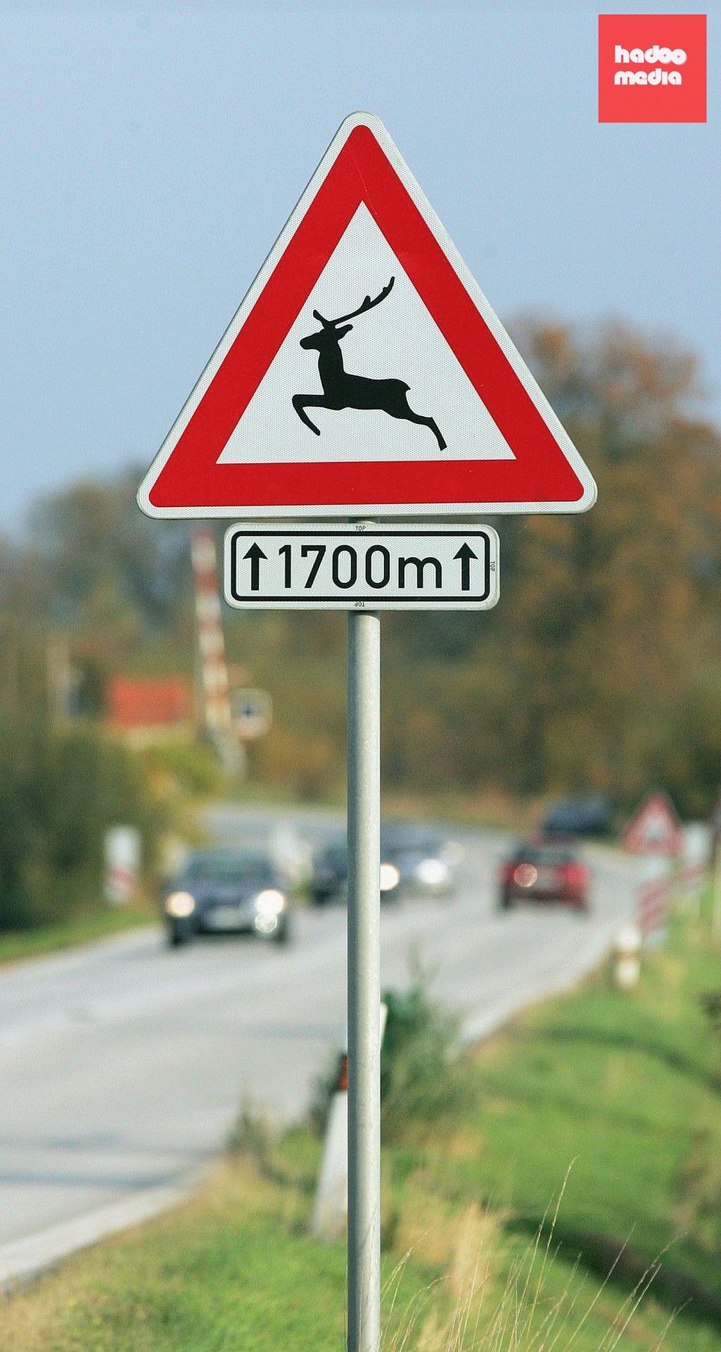 Dopravní značka A 14 „Zvěř“. Řidiči, kteří ji míjejí, by měli věnovat zvýšenou pozornost situaci v okolí komunikace.