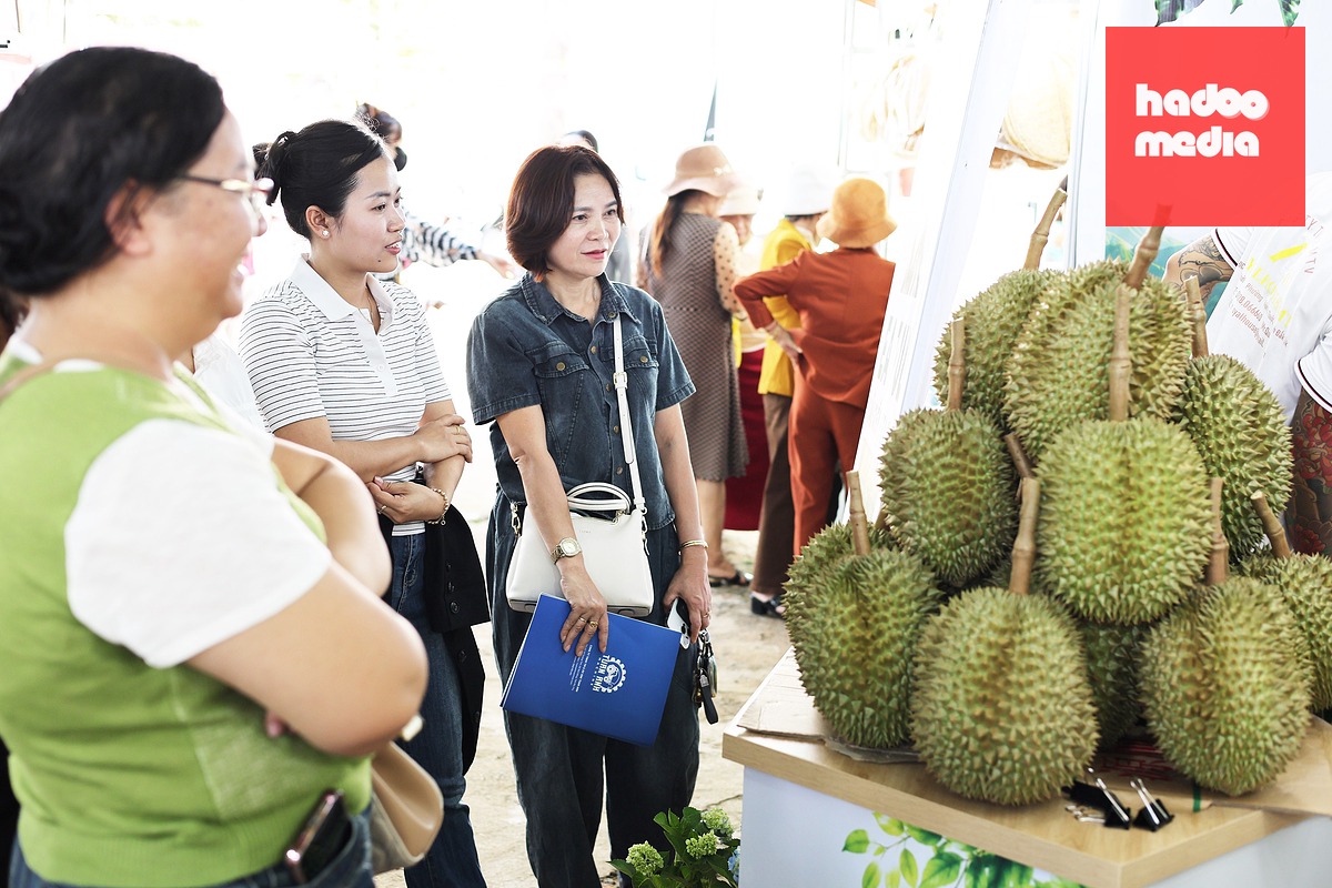 Sầu riêng Đắk Lắk - Ảnh: LÊ TRUNG