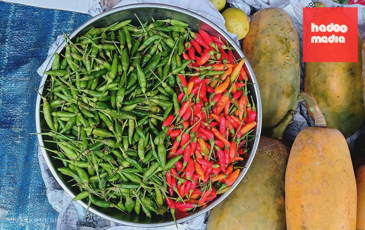 Ở hiểm (ớt xiêm) đang được bán tại chợ Xóm Mới, phường An Hội Đông với giá 150.000-170.000 đồng một kg. Ảnh: Thi Hà