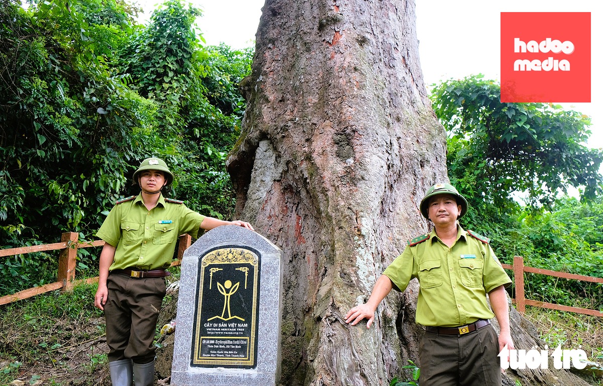Không chỉ làm công việc đơn thuần bảo vệ rừng, lực lượng kiểm lâm hiện nay còn truyền cảm hứng rất tốt từ những câu chuyện của núi rừng - Ảnh: THÀNH NAM