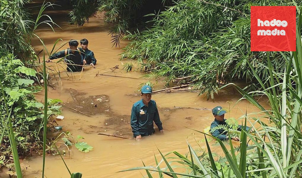 Khu vực con suối phát hiện cá sấu. Ảnh: Thái Hà
