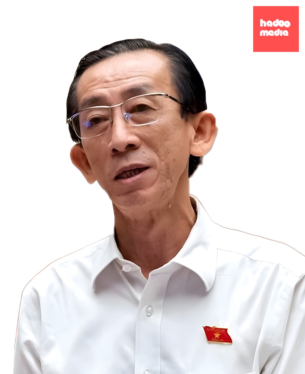 PGS.TS Trần Hoàng Ngân, Đại biểu Quốc hội