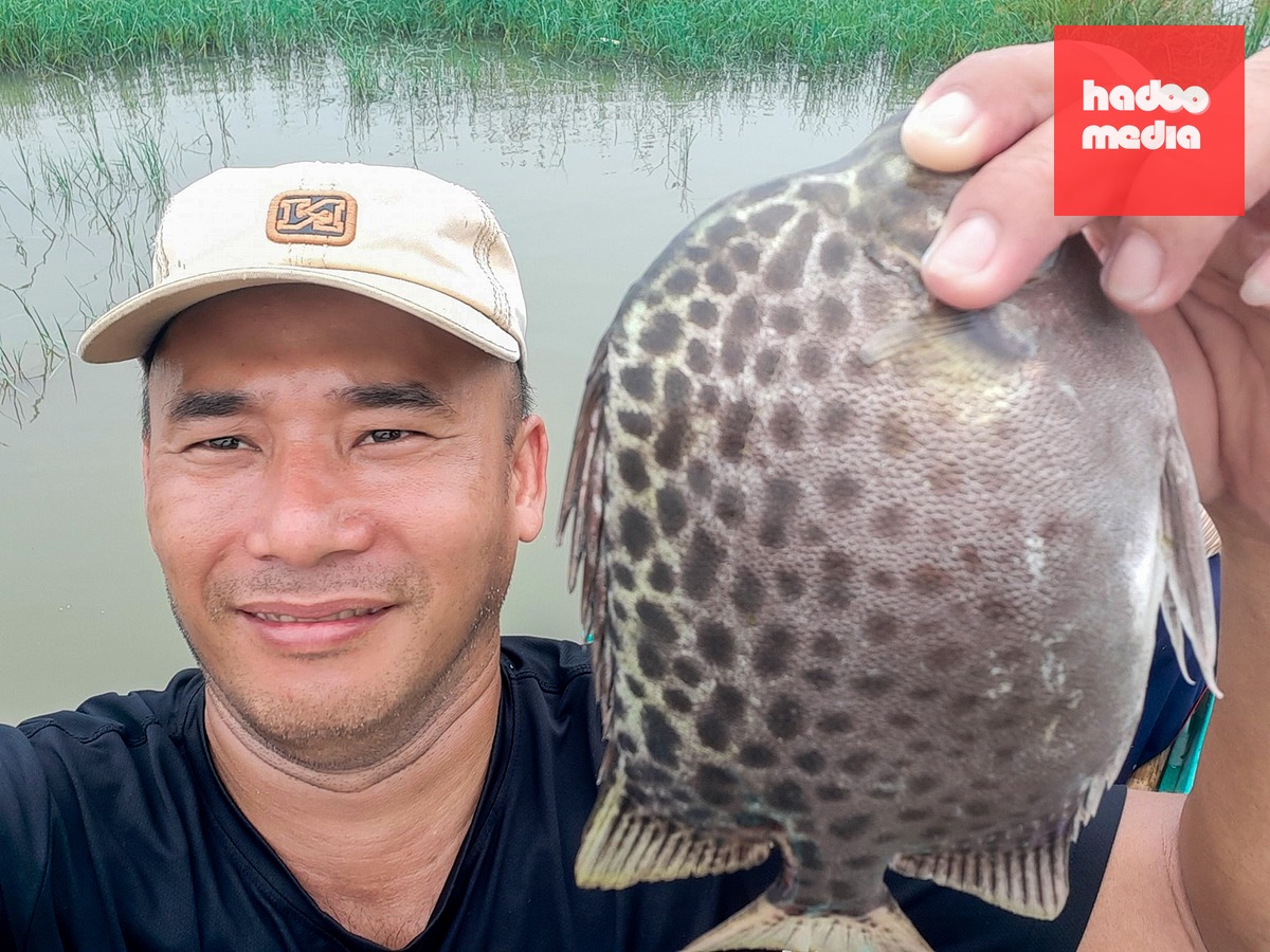 Mỗi lần về lại vuông ờ Cà Mau, anh Lê Thanh Hải thường tự bắt cá nâu để dành ăn và nhớ một thời gian khó nhờ bắt con cá nâu đem bán mà có thể vượt qua - Ảnh: THANH HUYỀN
