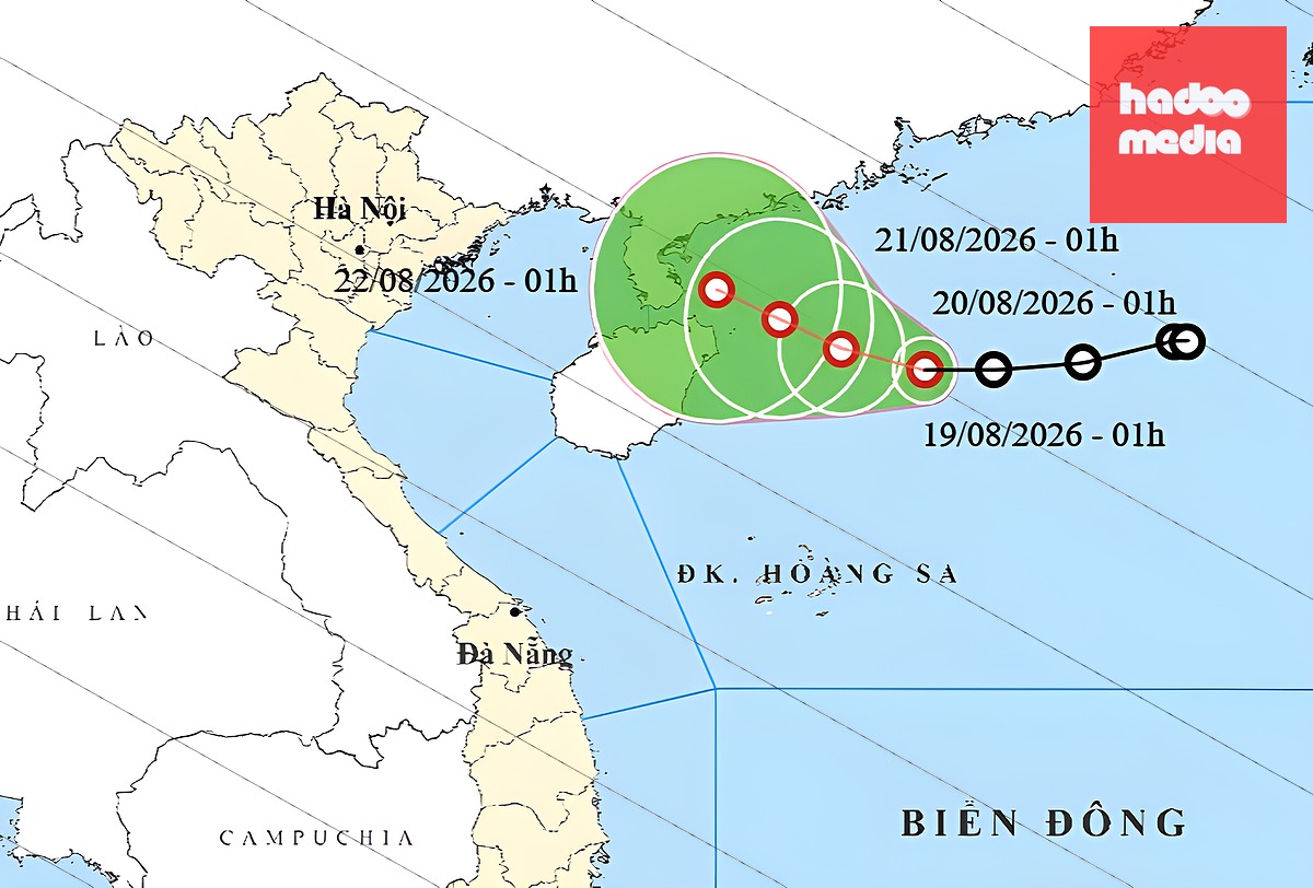 Dự báo hướng đi áp thấp nhiệt đới ngày 19/8. Ảnh: NCHMF