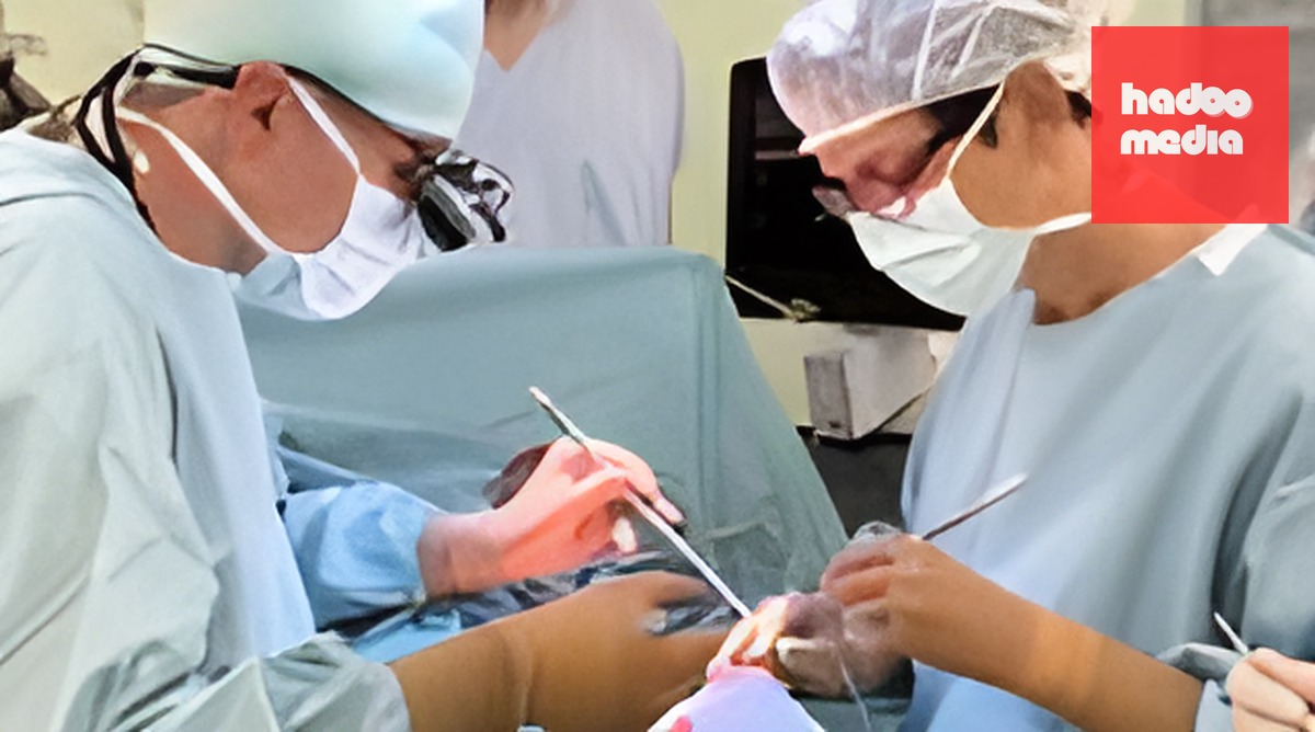 Thiết bị giám sát tim của Séc chinh phục thị trường Ấn Độ bằng trí tuệ nhân tạo