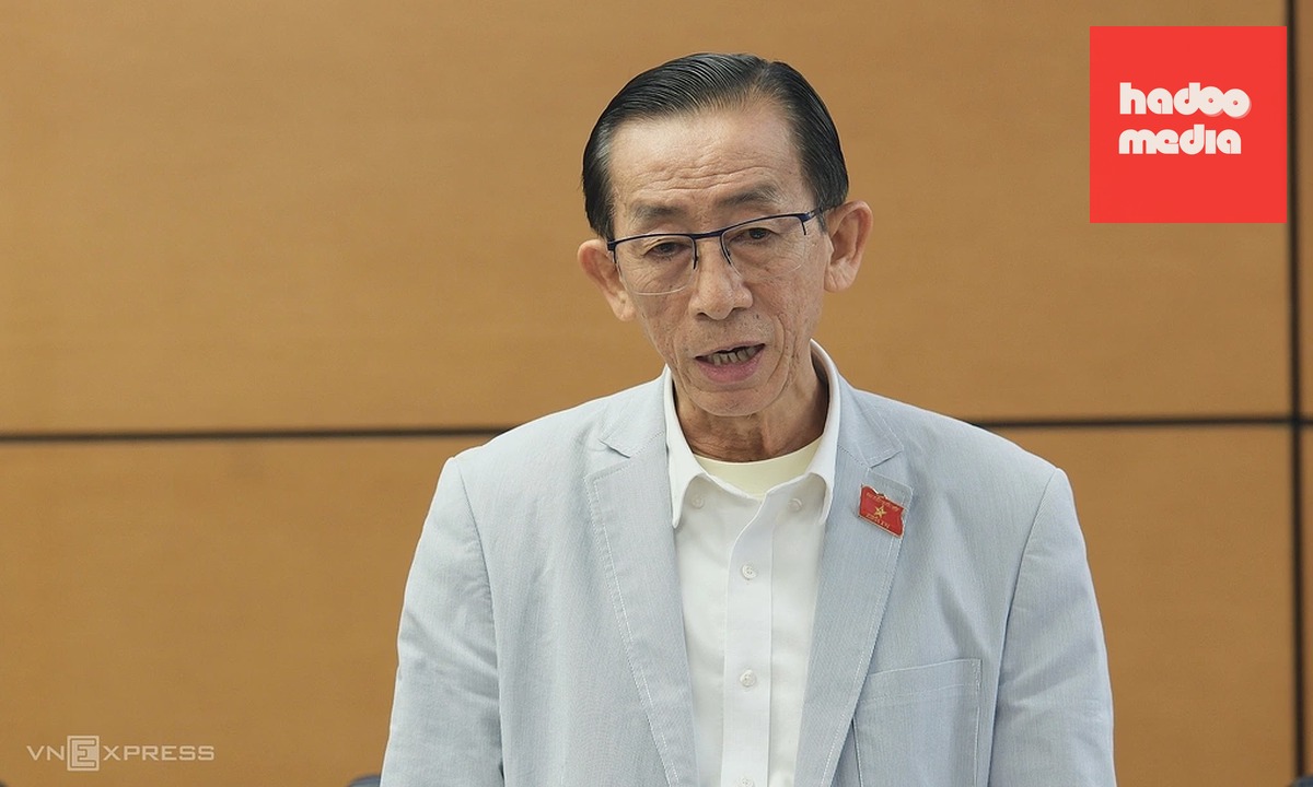 PGS. TS Trần Hoàng Ngân phát biểu tại phiên thảo luận tổ chiều 21/8. Ảnh: Anh Tú
