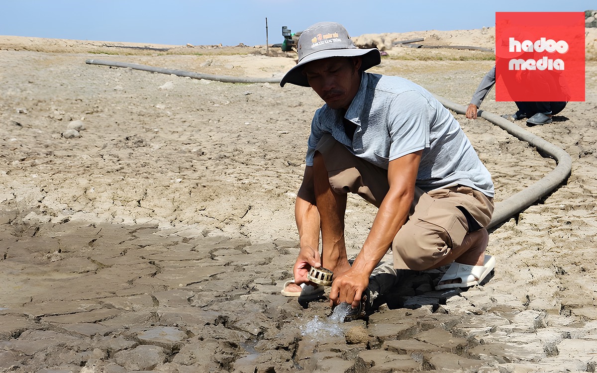 Đồng Tháp chủ động ứng phó El Nino 2026 để bảo đảm nguồn nước sinh hoạt và sản xuất - Ảnh 2.