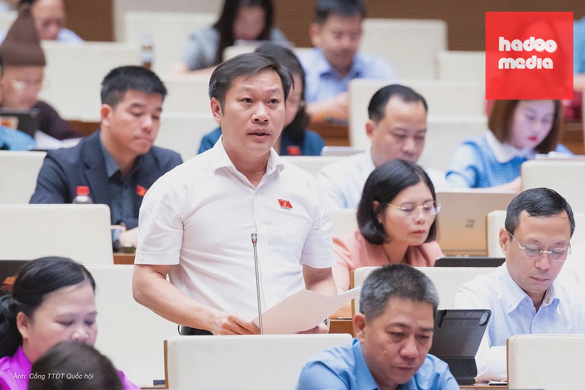 Đại biểu Nguyễn Khánh Vũ phát biểu trước Quốc hội ngày 22/8. Ảnh: Cổng TTĐT Quốc hội