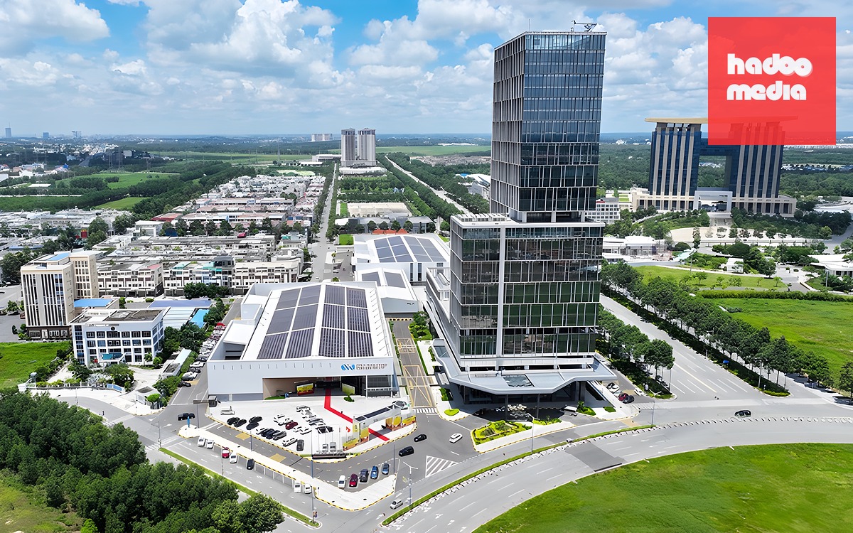 TP.HCM đào tạo nhân lực giỏi ngoại ngữ cho đô thị khoa học công nghệ - Ảnh 2.