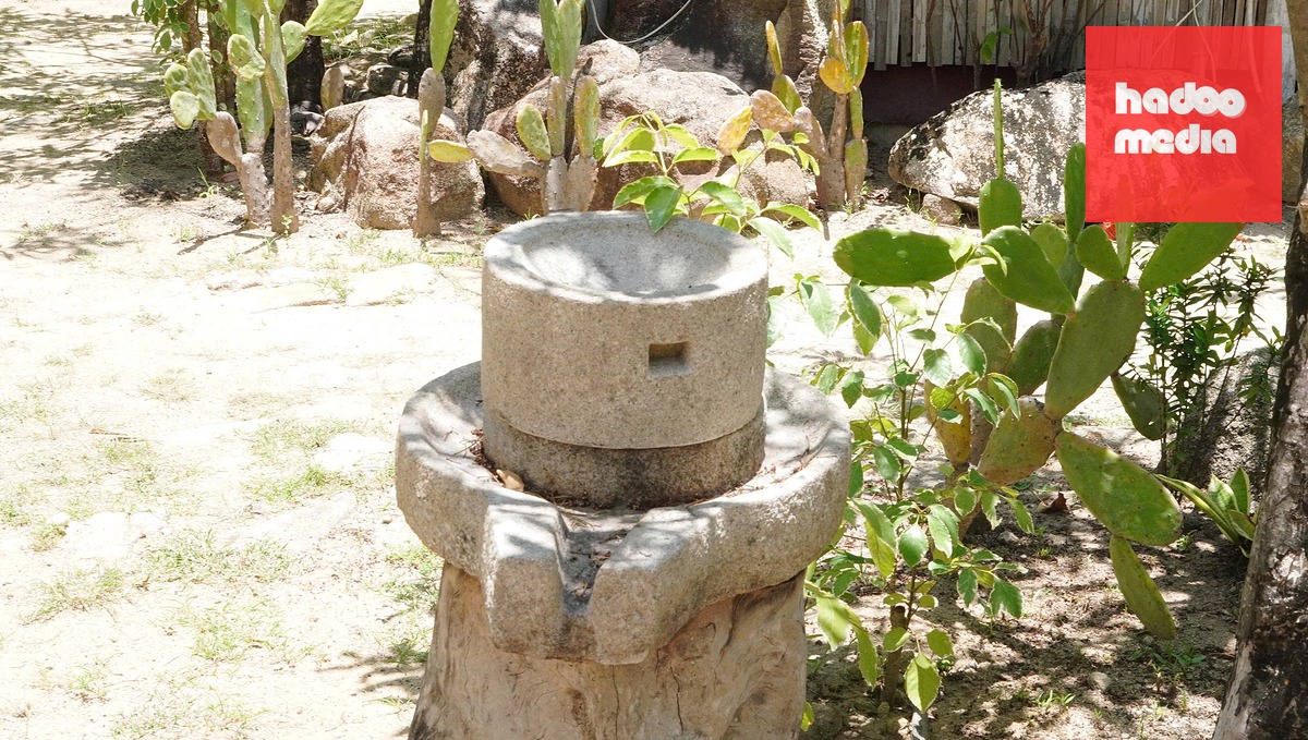Những dấu tích cổ như cối đá thủ công, miếu Chăm, giếng cổ vẫn hiện diện giữa không gian Gò Cỏ - Ảnh: QUỐC BẢO