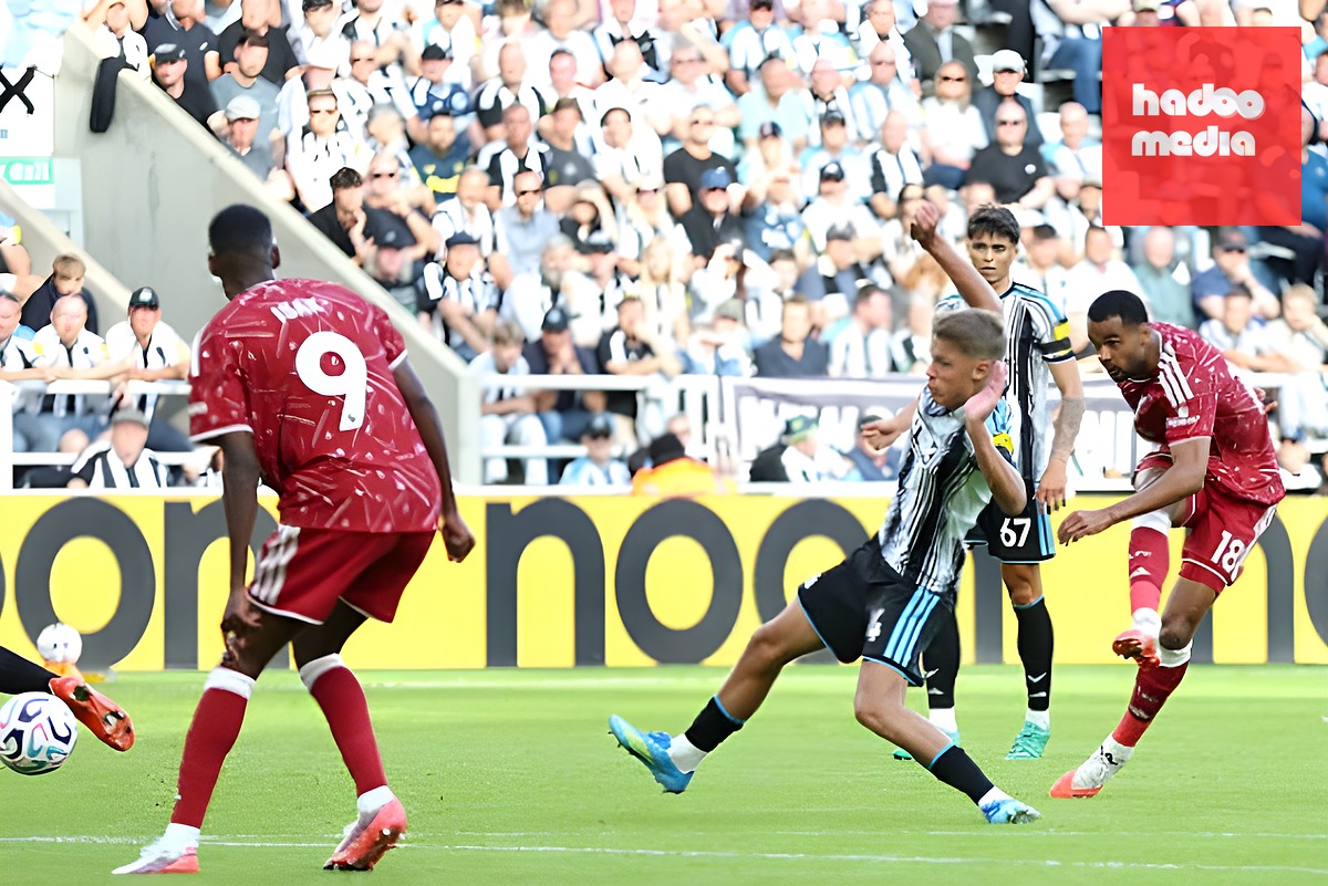 Gakpo ghi bàn cho Liverpool. Ảnh: Getty.
