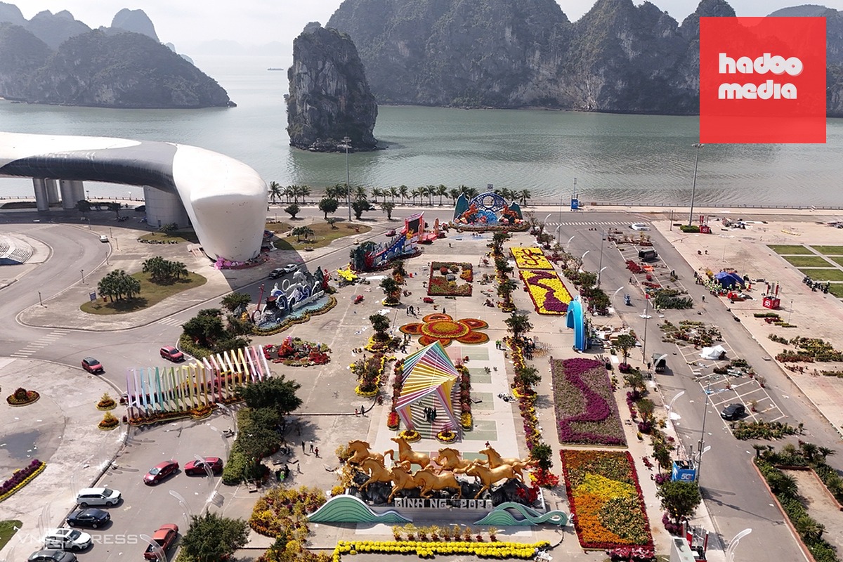 Đường hoa ven vịnh Hạ Long, Quảng Ninh. Ảnh: Lê Tân