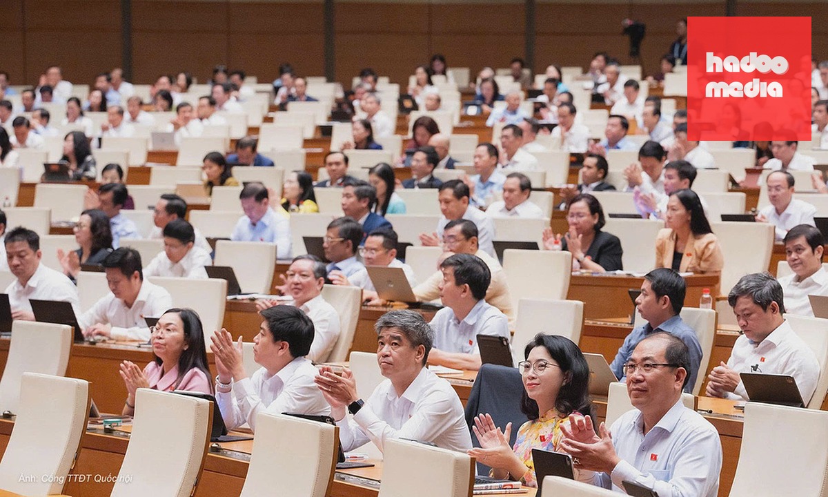 Các đại biểu Quốc hội tại phiên họp sáng 24/8. Ảnh: Cổng thông tin điện tử Quốc hội