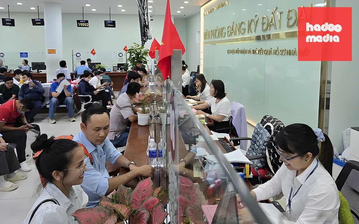 TP.HCM đề nghị hướng dẫn hoàn phí, lệ phí khi làm thủ tục trực tuyến - Ảnh 2.