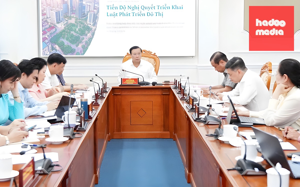 Phó chủ tịch HĐND TP.HCM: ban hành nghị quyết cụ thể hóa Luật Phát triển đô thị trước ngày 1-10 - Ảnh 2.