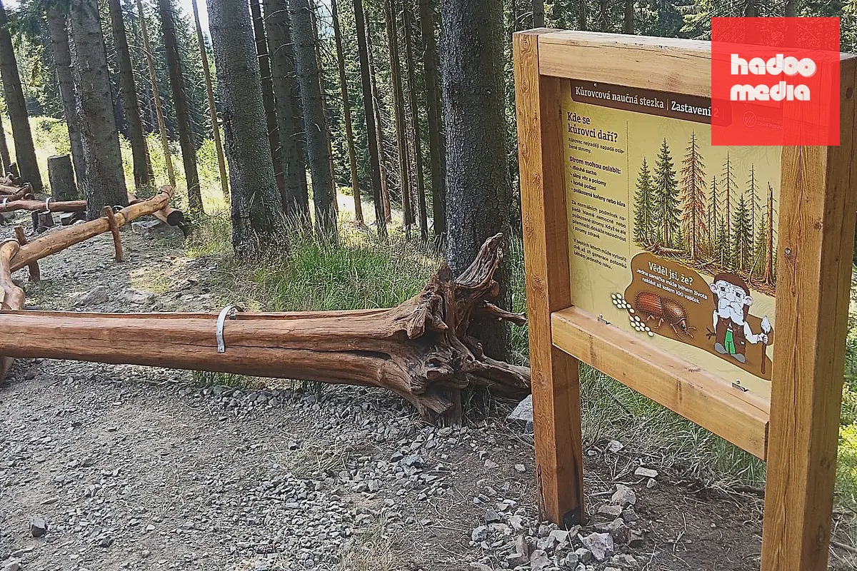 Kůrovcová naučná stezka na Dolní Moravě