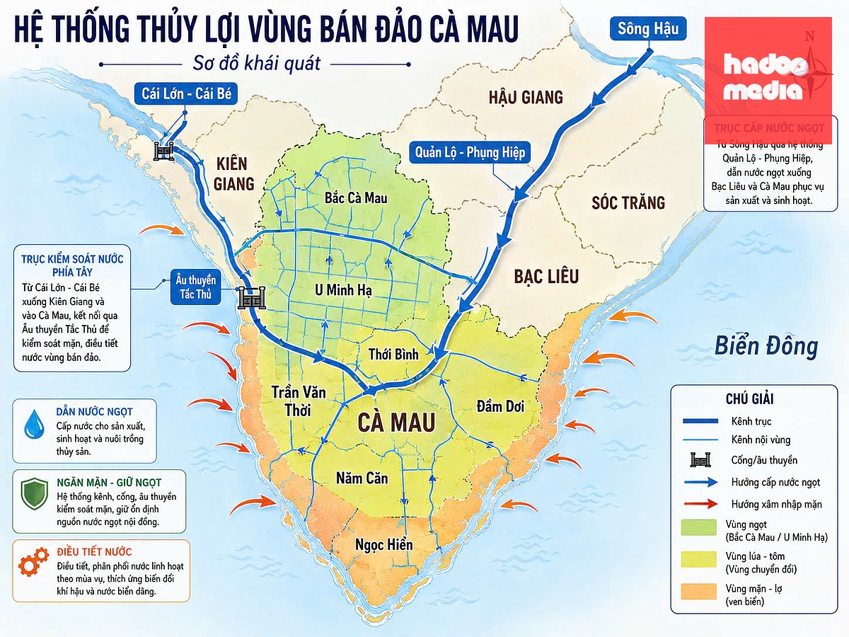 Hệ thống thủy lợi làm hồ sinh vùng đất bán đảo Cà Mau - Đồ họa dưới sự hỗ trợ của AI