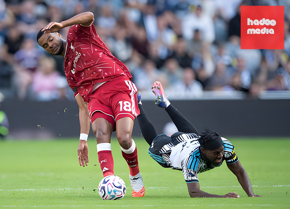 Gakpo có rời Liverpool vào ngày cuối chuyển nhượng? Ảnh của Visionhaus/Getty Images.
