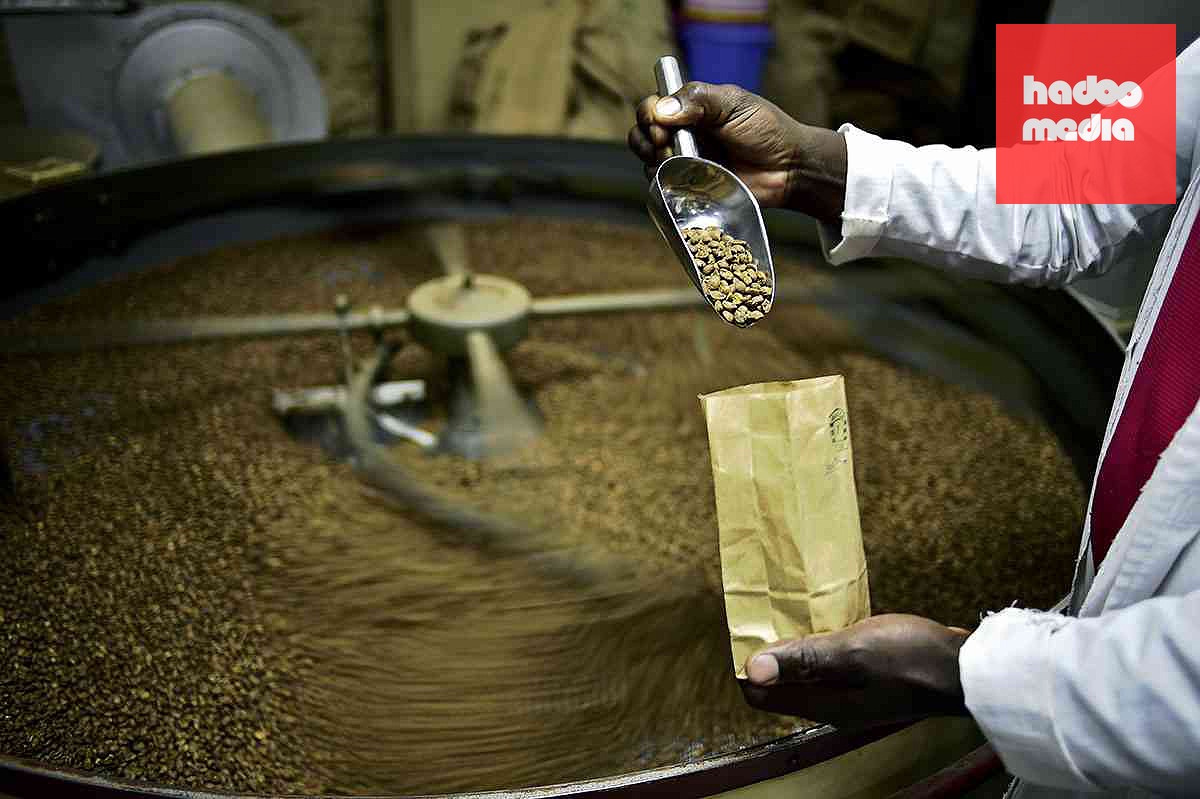 Cà phê Robusta Ấn Độ đã có cuộc chuyển mình ngoạn mục - Ảnh: AFP