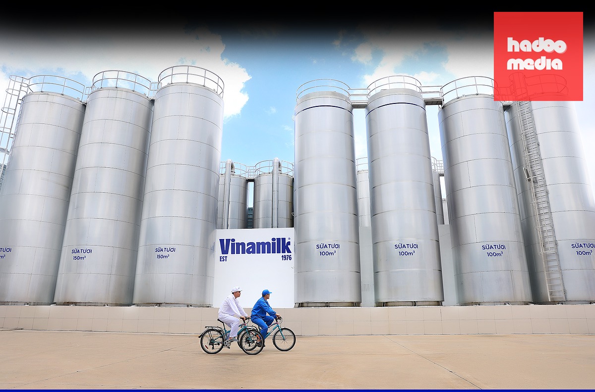 50 năm Vinamilk đi cùng người Việt, vươn ra thế giới - Ảnh 8.