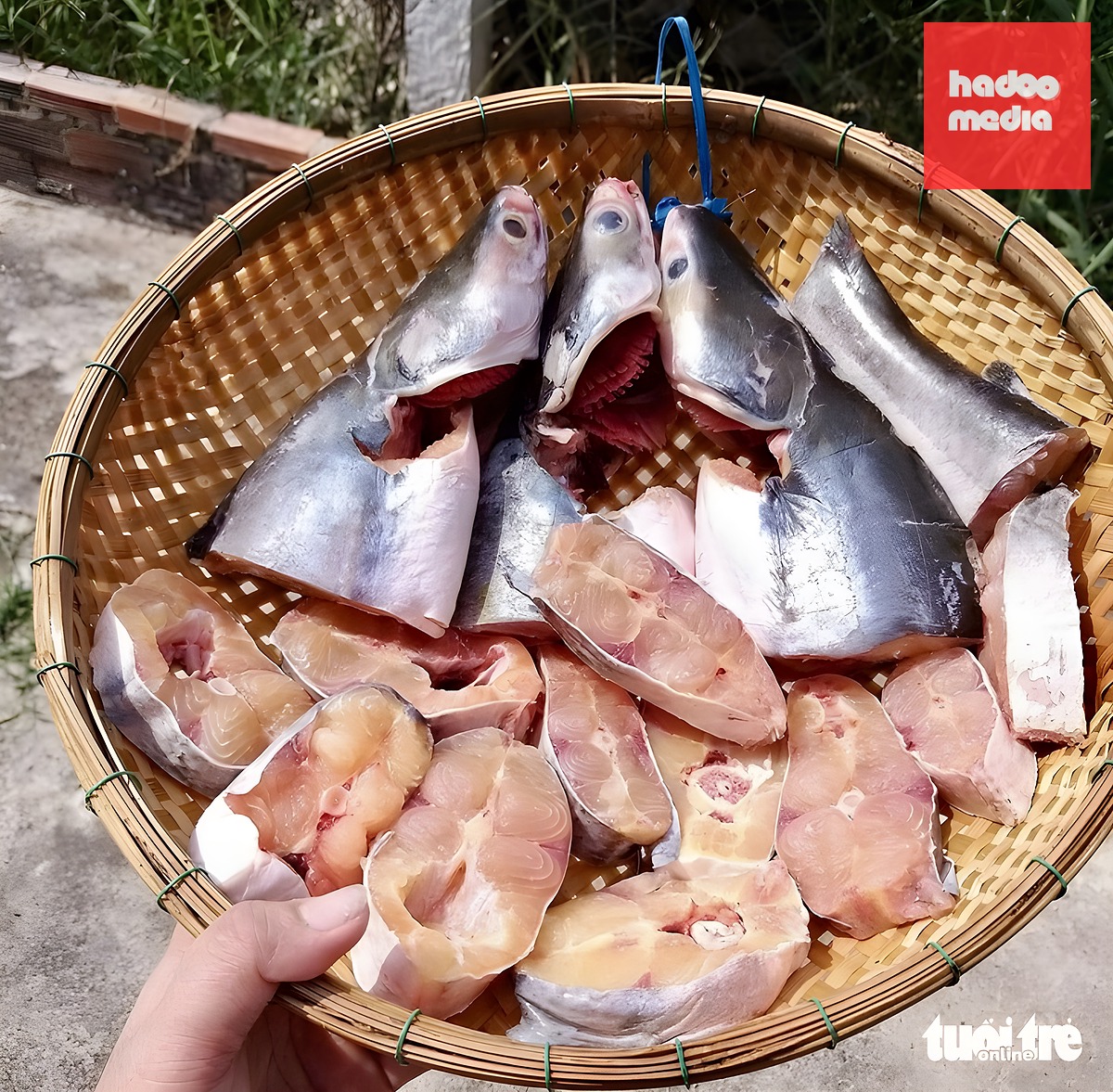 Hộ kinh doanh mong quy định xuất hóa đơn gần hơn với đời sống - Ảnh minh họa: ĐẶNG TUYẾT