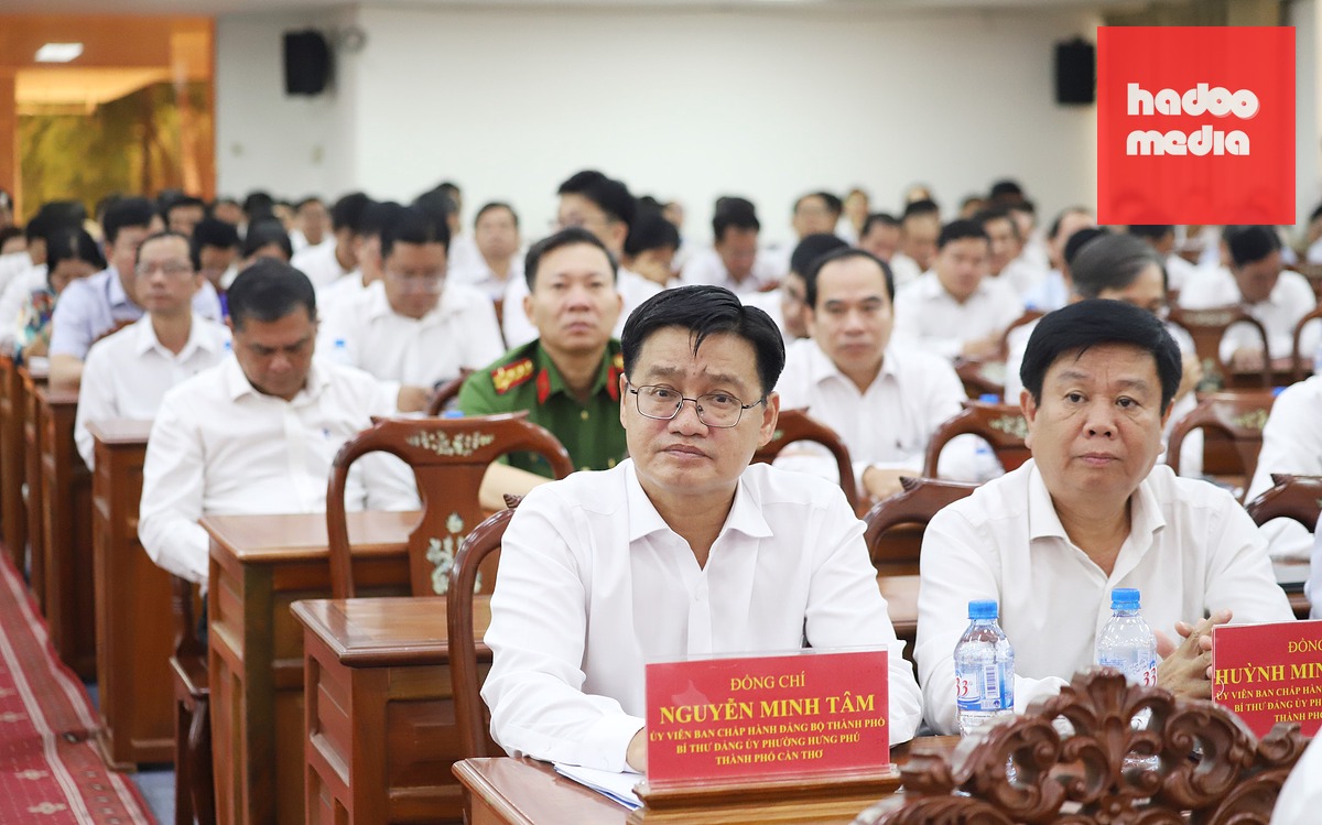 Có 245 cán bộ ở Cần Thơ thuộc diện quy hoạch Ban Chấp hành, Ban Thường vụ, cán bộ chủ chốt - Ảnh: CHÍ QUỐC