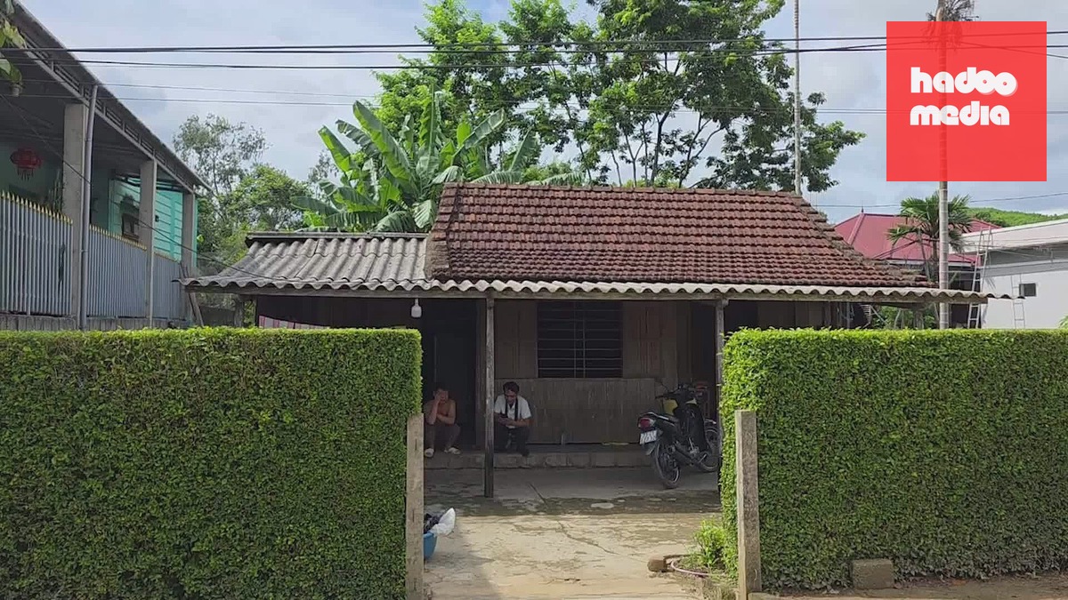 Video: Làm hàng rào bằng cây chè tàu