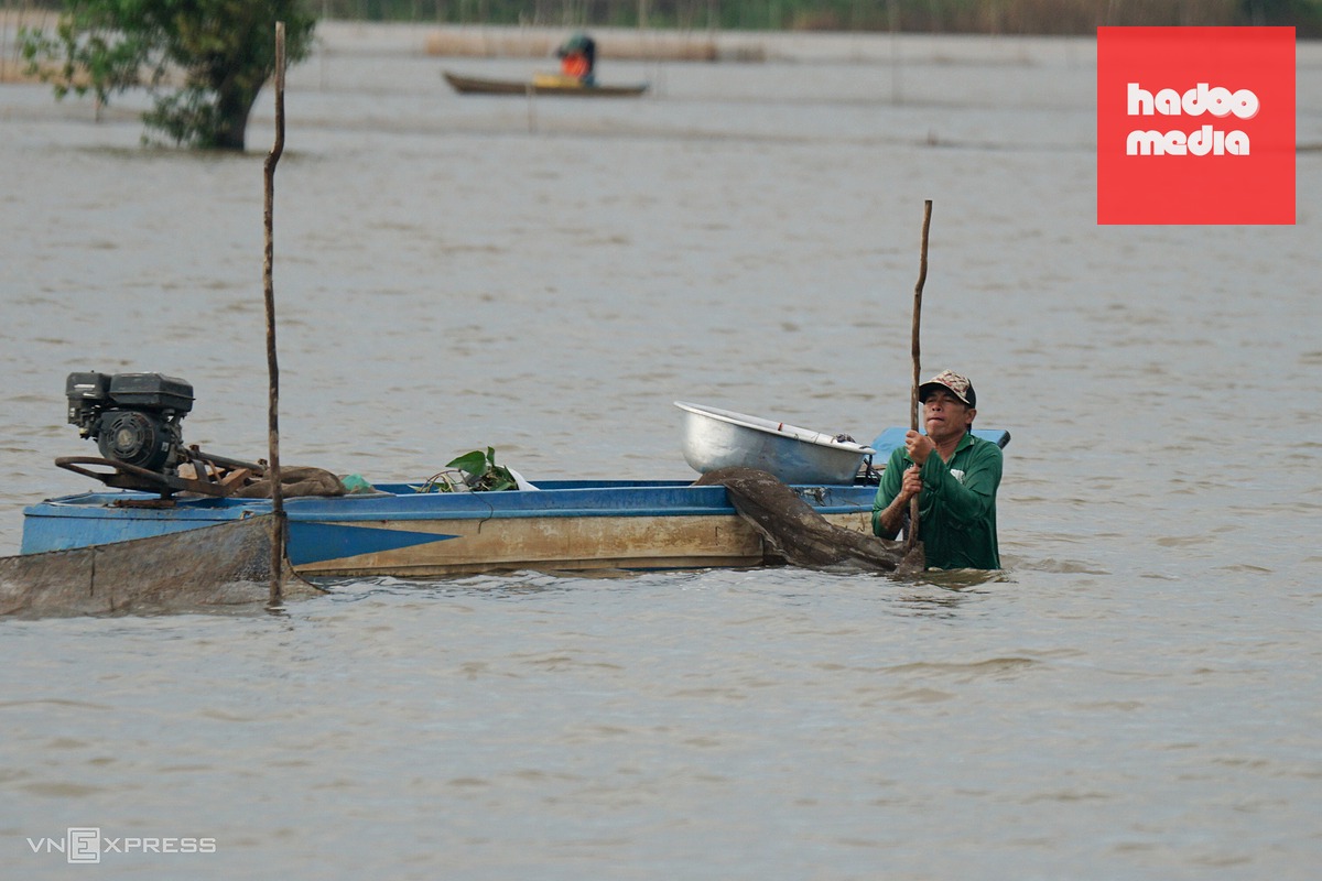 Săn cá mùa nước nổi miền Tây: Nghề truyền thống và thu nhập nông nhàn