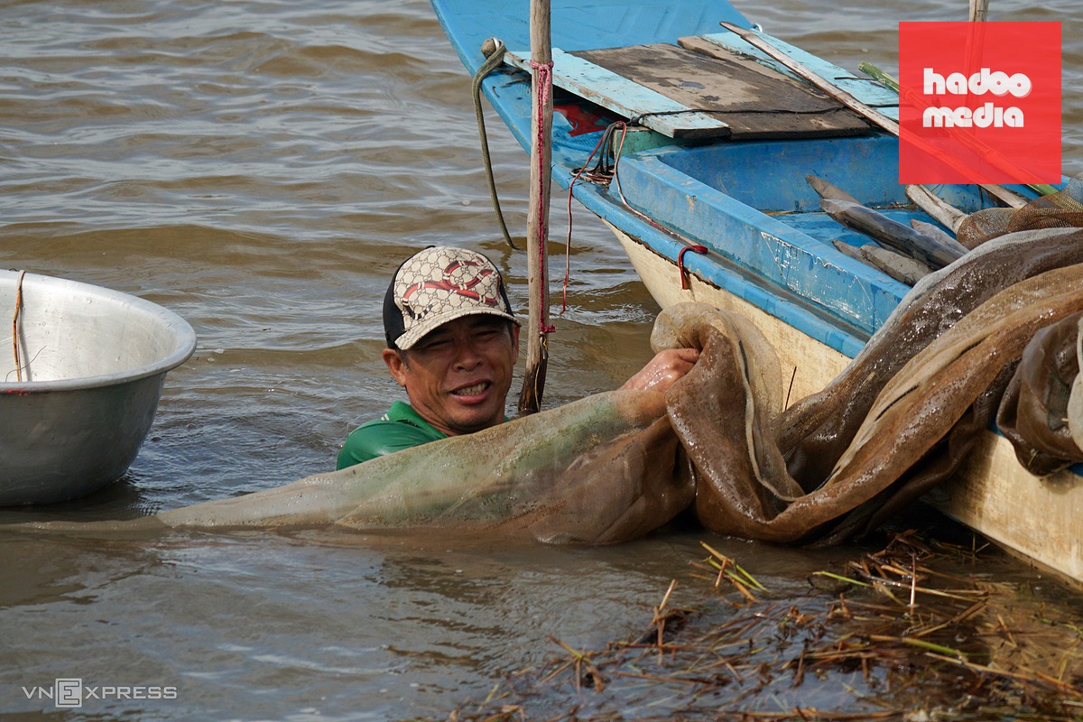 Săn cá mùa nước nổi miền Tây: Nghề truyền thống và thu nhập nông nhàn
