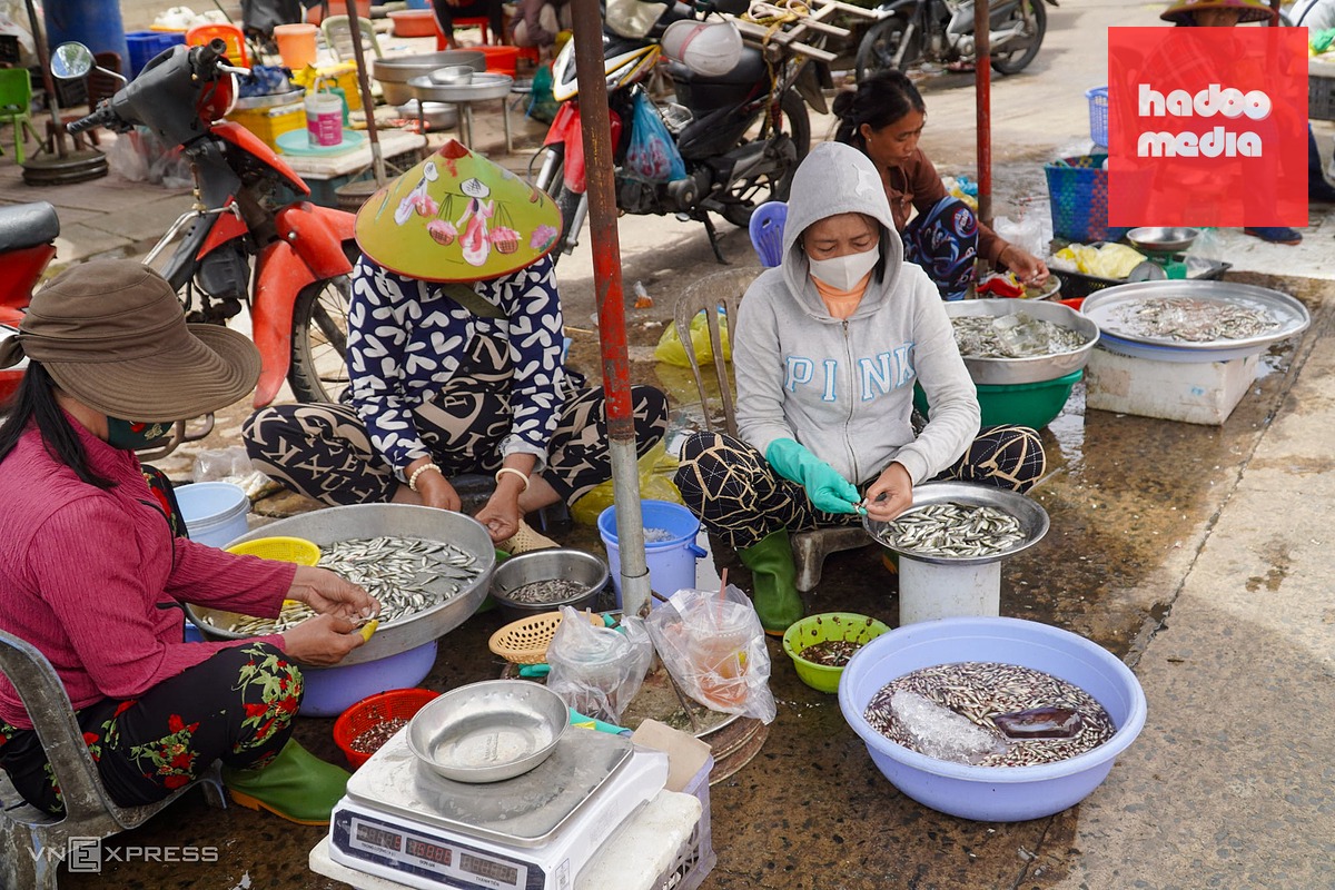 Săn cá mùa nước nổi miền Tây: Nghề truyền thống và thu nhập nông nhàn