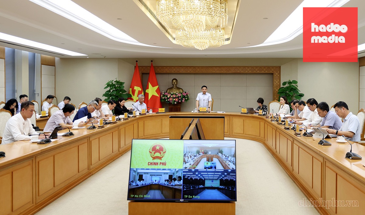 Phó thủ tướng chủ trì cuộc họp - Ảnh: VGP
