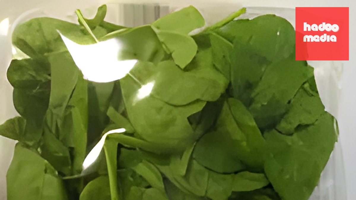 Kaufland thua kiện tại Tòa án Hiến pháp về phạt vì giảm giá gây hiểu nhầm