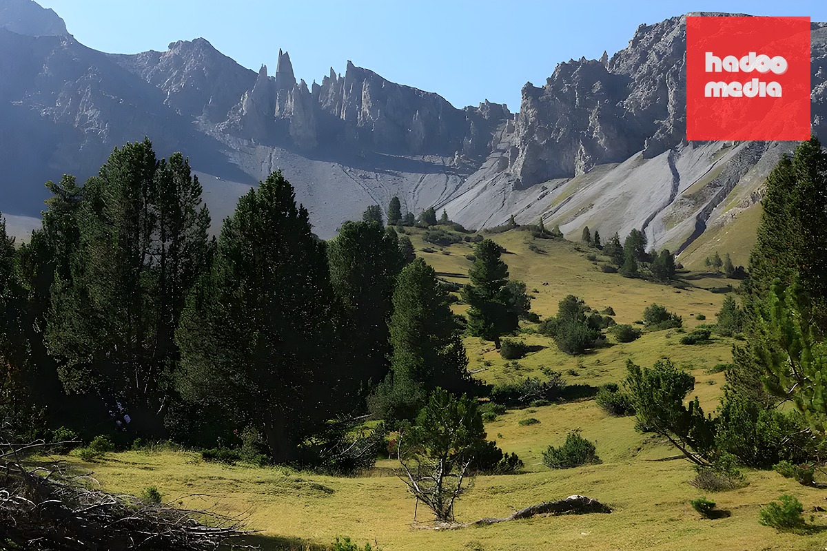 Jediný švýcarský národní park se nachází v údolí Engadin.