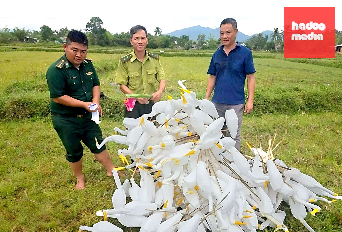 Lực lượng chức năng thu giữ hàng trăm cò giả bằng xốp - Ảnh: Xã Chân Mây - Lăng Cô