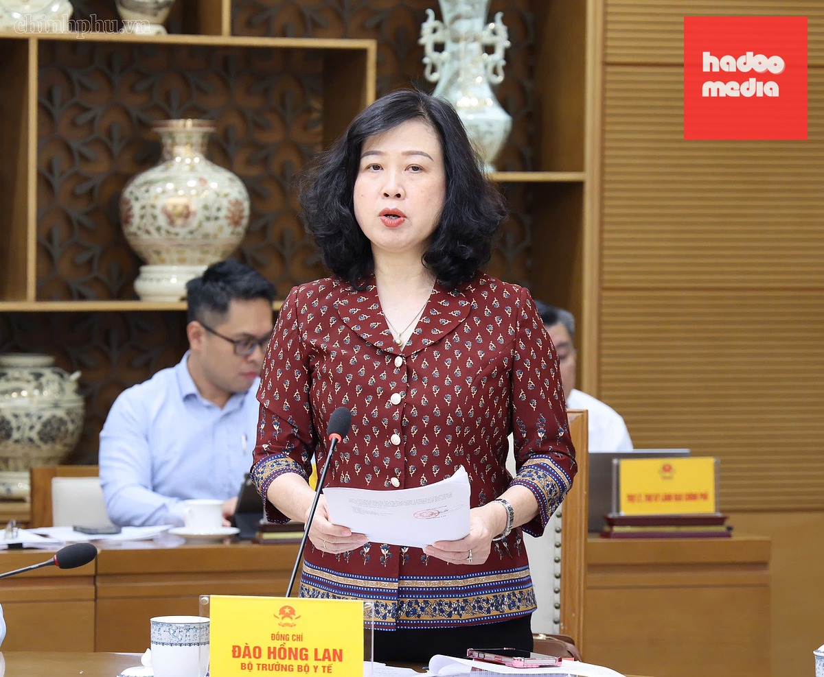 Bộ trưởng Bộ Y tế Đào Hồng Lan báo cáo tại cuộc họp - Ảnh: chinhphu.vn/Thu Giang