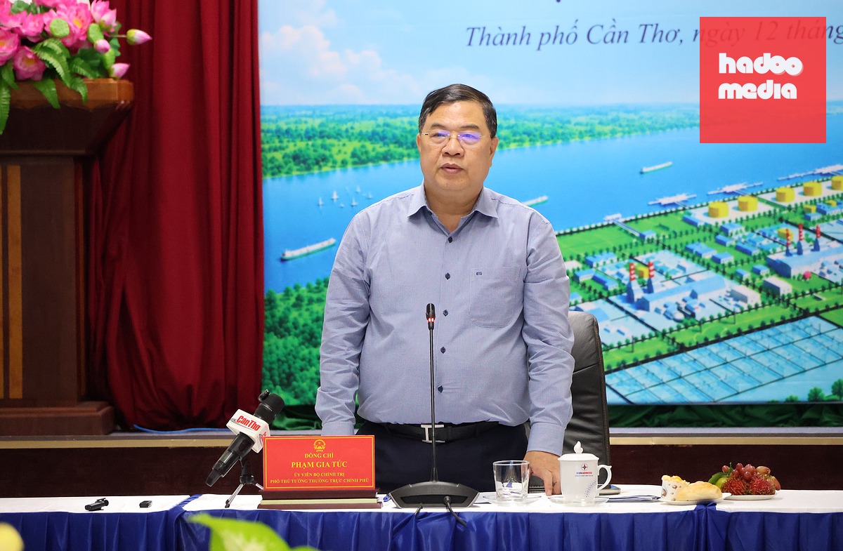 Phó thủ tướng thường trực Phạm Gia Túc phát biểu tại cuộc họp - Ảnh: CA LINH