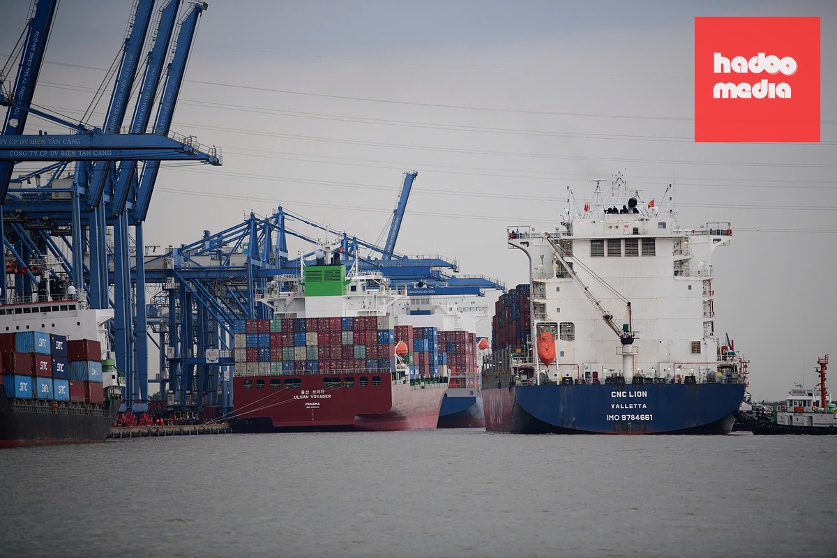 Tàu chở hàng xuất khẩu tại cảng Cát Lái, TP.HCM - Ảnh: QUANG ĐỊNH