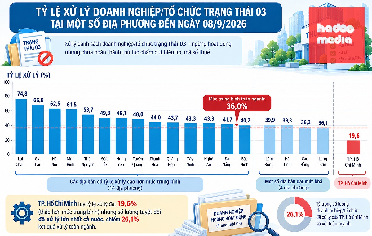 Tỉ lệ trung bình toàn ngành thuế đạt được trong chiến dịch làm sạch mã số thuế đến nay là 36%, trong đó xét về tỉ lệ thì Lai Châu đứng đầu với 74,8%
