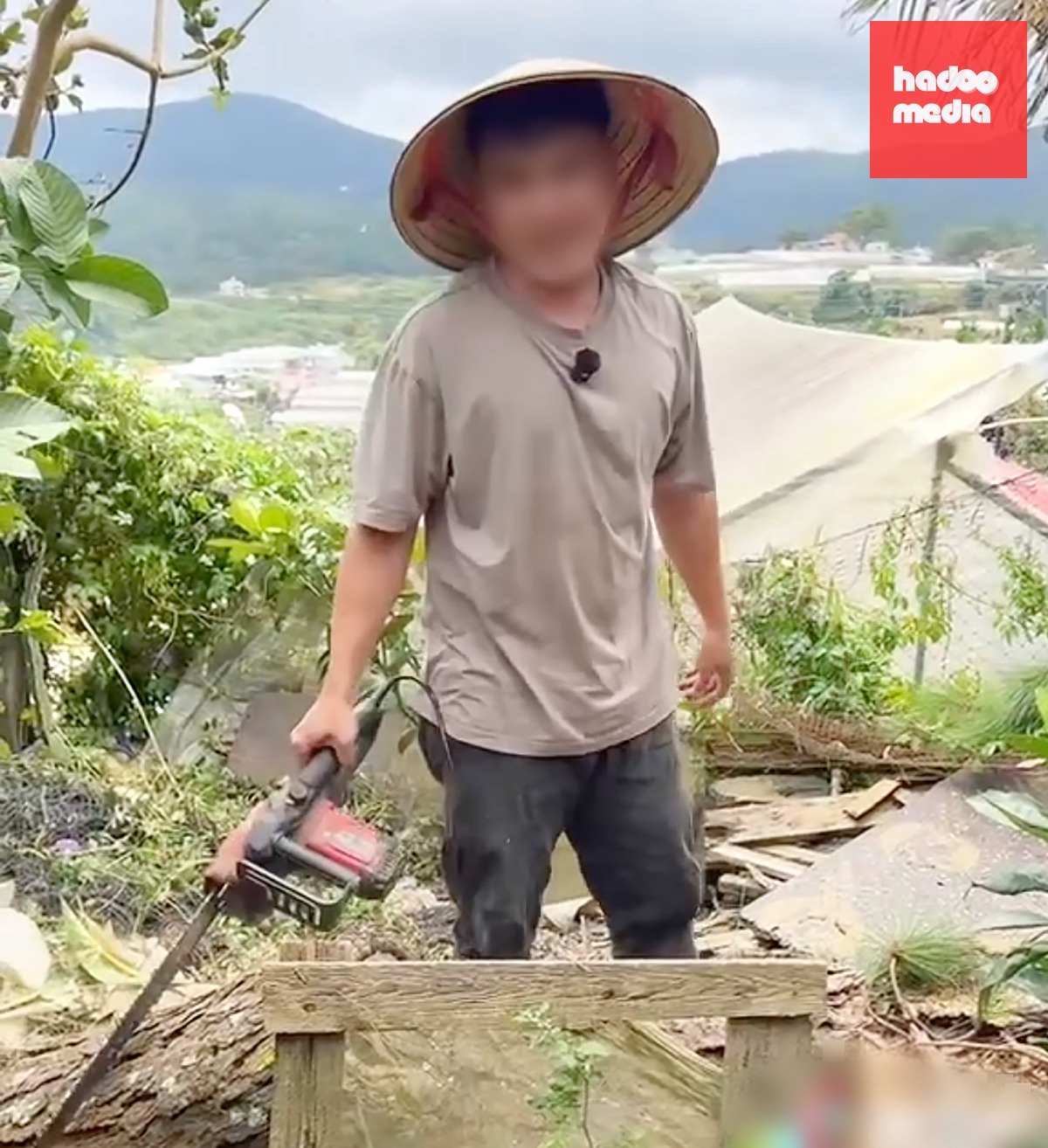 H.N.M. (26 tuổi, trú khu An Sơn, phường Xuân Hương - Đà Lạt) dùng cưa máy đốn hạ thông - Ảnh cắt từ clip
