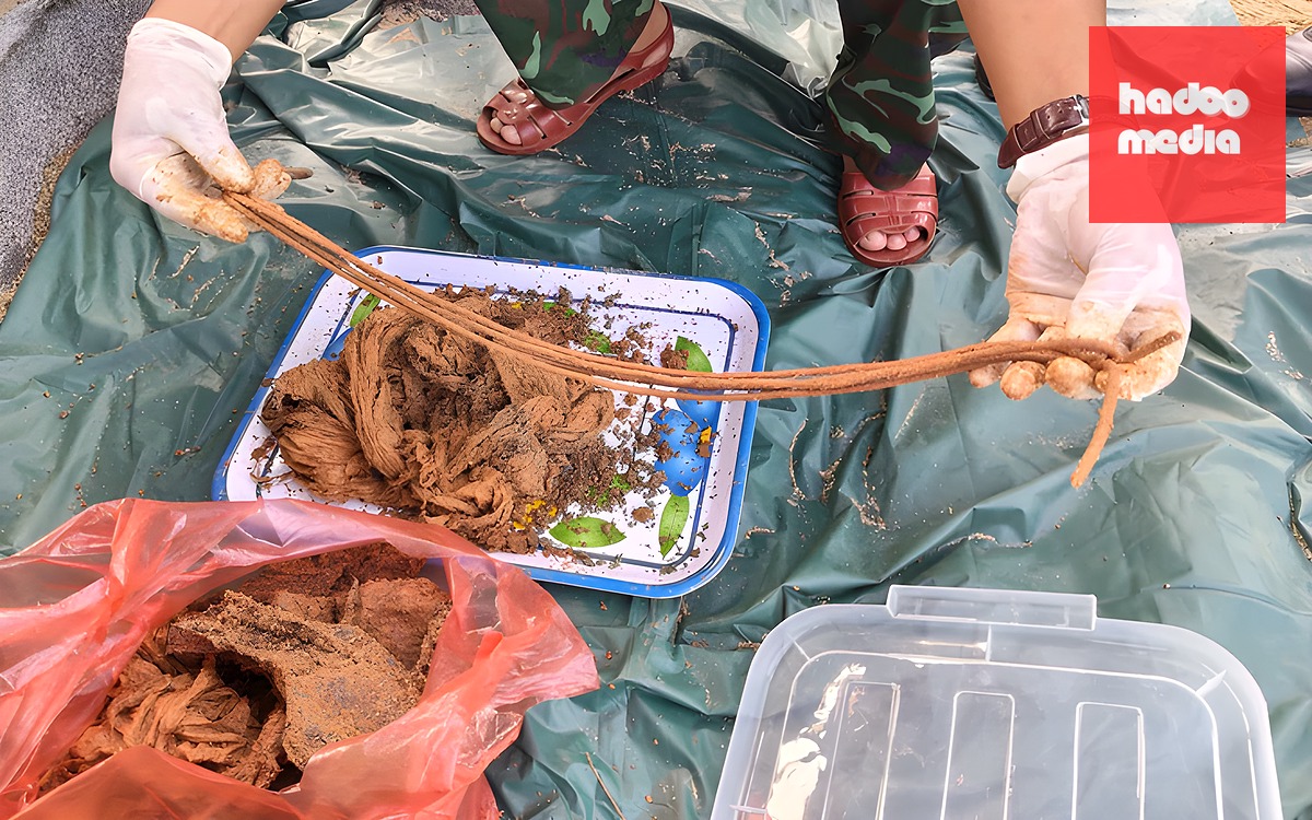 Tổ chức lễ truy điệu liệt sĩ ở công viên Lê Thị Riêng vào tháng 10 - Ảnh 2.