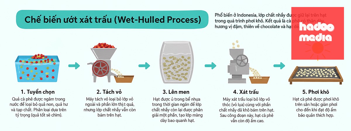 Chế biến ướt xát trấu cho ra cà phê có thân dày, hương vị đậm (thiên về chocolate và hạt dẻ) - Ảnh: HẢI VÂN