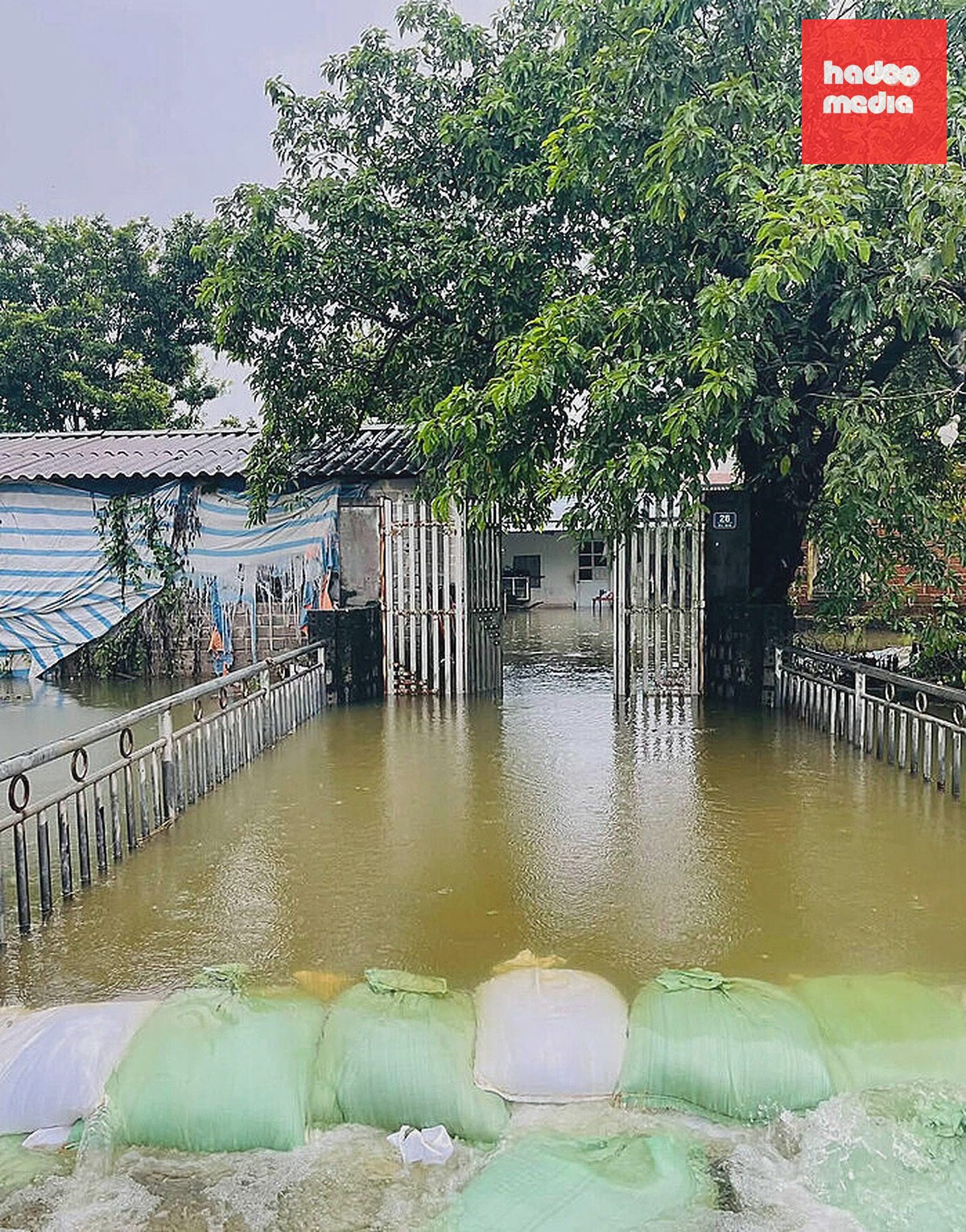 Nhà dân ở xã Xuân Mai bị ngập do lũ sông Bùi dâng cao, tràn vào làng. Ảnh: Xuân Quyền