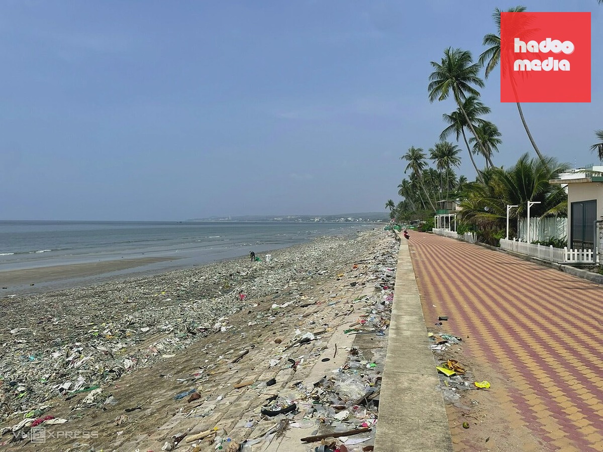 Bãi biển Rạng Mũi Né đầy rác thải, gây ô nhiễm môi trường, ngày 16/9. Ảnh: Việt Quốc