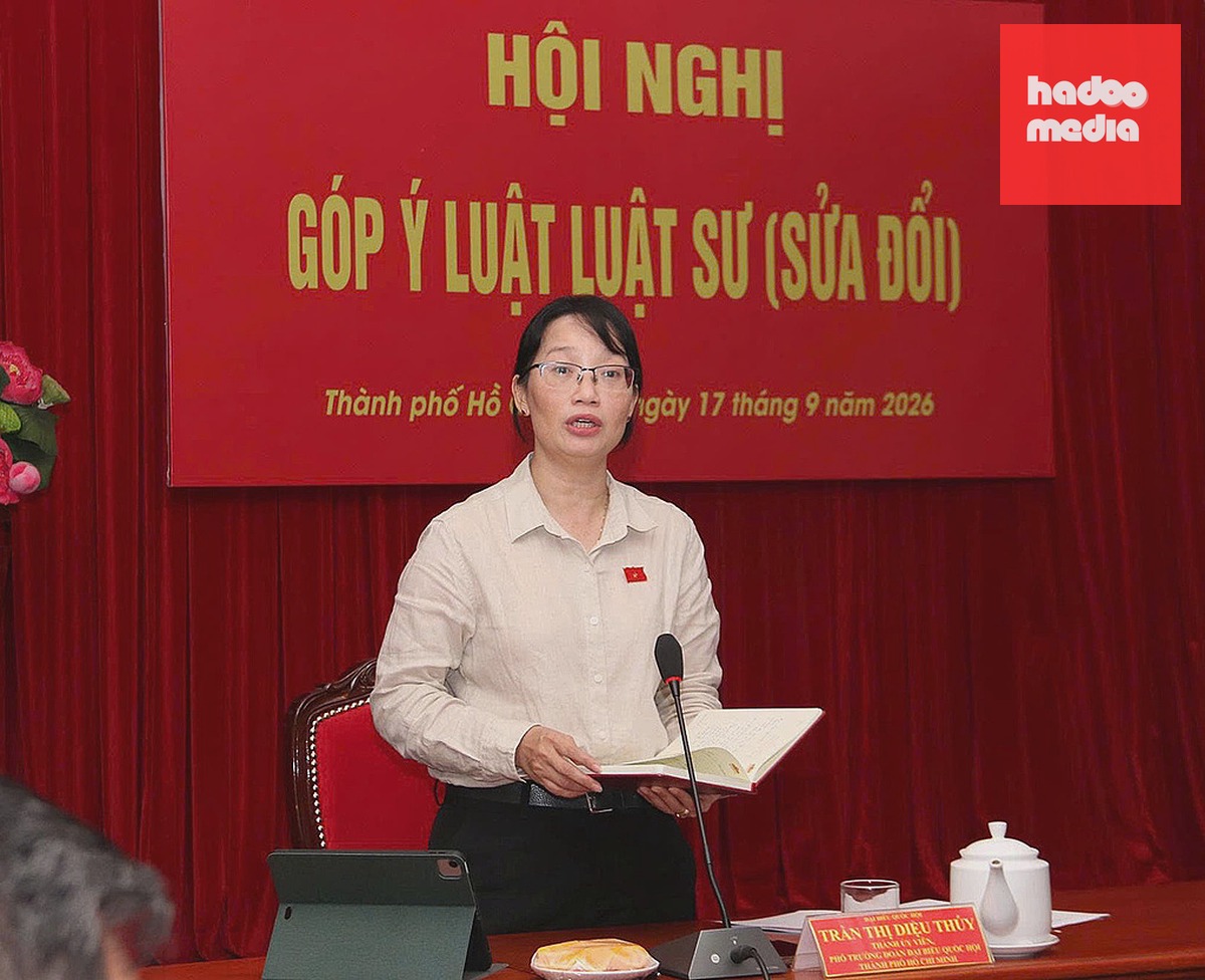 Bà Trần Thị Diệu Thúy phát biểu tổng kết hội nghị. Ảnh: Hải Duyên