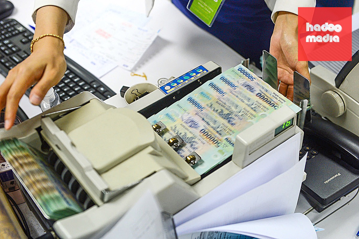 Lãnh đạo Ngân hàng Nhà nước yêu cầu các ngân hàng đánh giá phương án tín dụng dựa nhiều hơn vào phương án sản xuất kinh doanh, dòng tiền - Ảnh: QUANG ĐỊNH