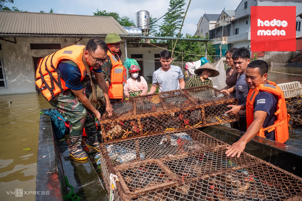 Biển nước ngập sâu bao trùm vùng trũng ngoại thành Hà Nội