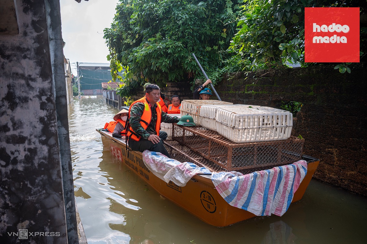 Biển nước ngập sâu bao trùm vùng trũng ngoại thành Hà Nội
