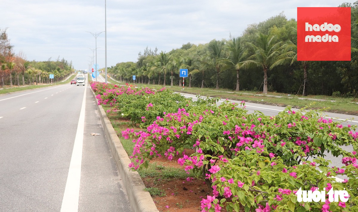 Hàng hoa giấy trồng giữa con lươn, ngày nắng hoa khoe sắc thắm giúp người đi đường cỏ cảm giác nhẹ nhàng, thư giãn hơn - Ảnh: TRẦN THƯỜNG