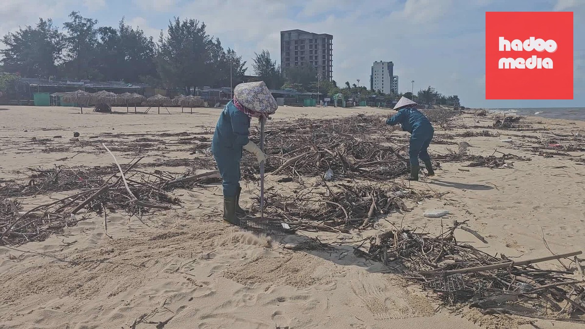 Gỗ, củi phủ kín bãi biển Nhật Lệ sau mưa lũ
